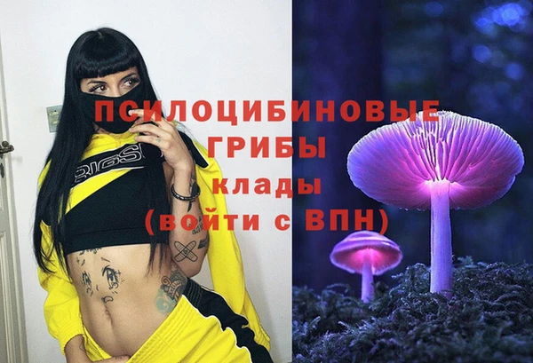 mdpv Нефтекумск