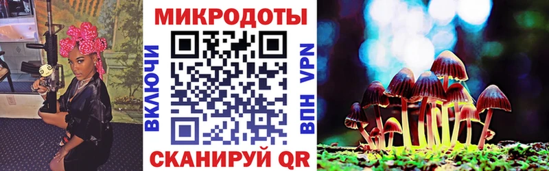 магазин  наркотиков  гидра рабочий сайт  Псилоцибиновые грибы Cubensis  Саров 