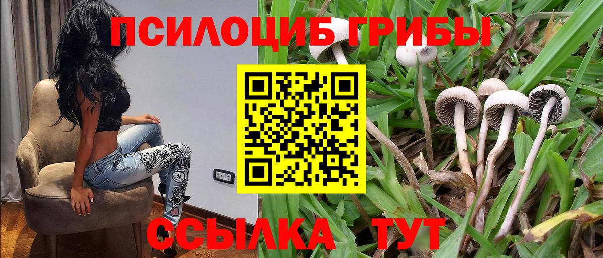 Саров  Галлюциногенные грибы мицелий  Вход с VPN 